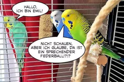 Kennenlernen