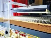 Es werde Licht im Käfig