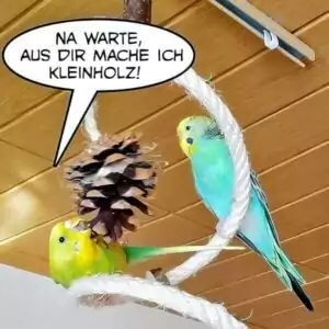 Als Kiefernzapfen hat man nichts zu lachen