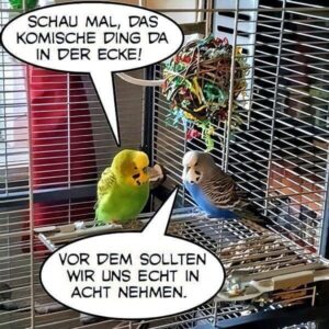 Kreativität trifft auf Desinteresse Kreativität trifft auf Desinteresse