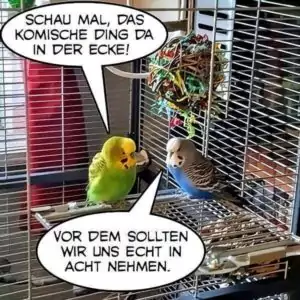 Kreativität trifft auf Desinteresse Kreativität trifft auf Desinteresse