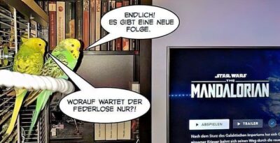 Stehen Wellensittiche auf Star Wars?