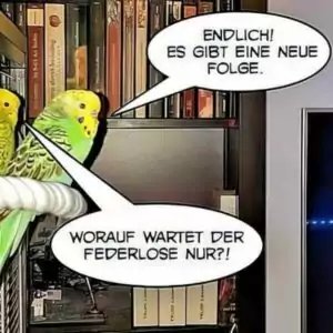 Stehen Wellensittiche auf Star Wars?