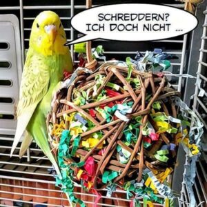 Ich doch nicht Ich doch nicht