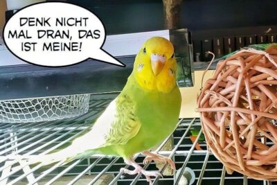 Denk nicht mal daran