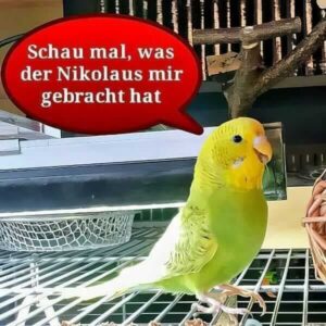 Lotta sitzt vor Weidenkugel (Nikolaus)