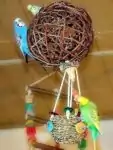 Heißluftballon mit Wellis