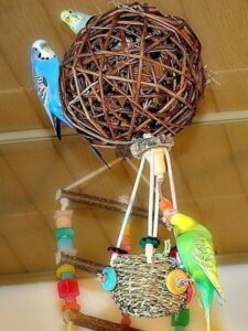 Heißluftballon mit Wellis Heißluftballon mit Wellis