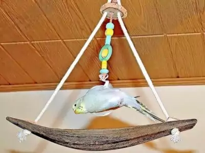 Schaukeln aus Kokos