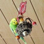 Fliewatüüt mit Lotta