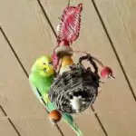 Fliewatüüt mit Lotta