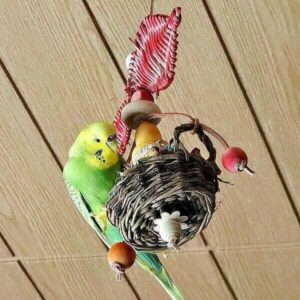 Fliewatüüt mit Lotta Fliewatüüt mit Lotta