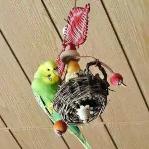 Fliewatüüt mit Lotta Fliewatüüt mit Lotta