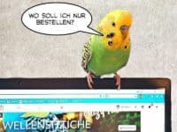 Transparenz der Anbieter Transparenz der Anbieter