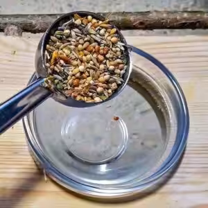 Füttern (Messlöffel)