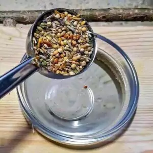 Messlöffel mit Körnerfutter und Futternapf