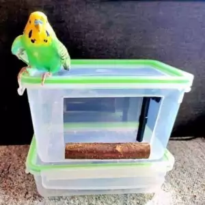 Vogelduschkabine Vogelduschkabine