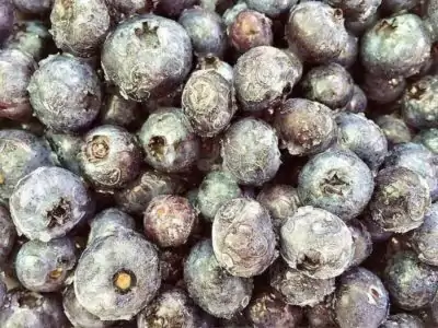 Heidelbeeren Heidelbeeren