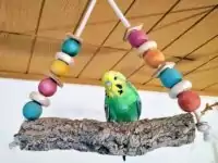 Korkastschaukel mit Emil