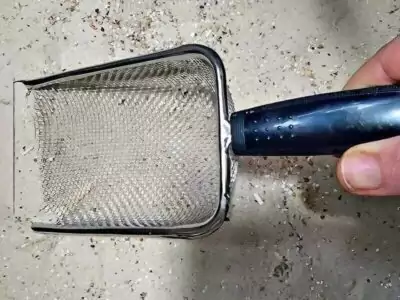 Vogelsand reinigen