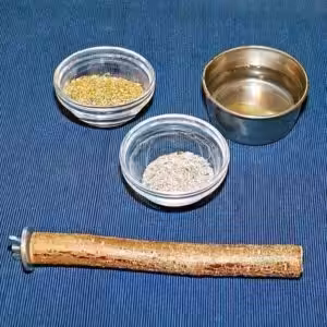 Krankheitsvorbeugung