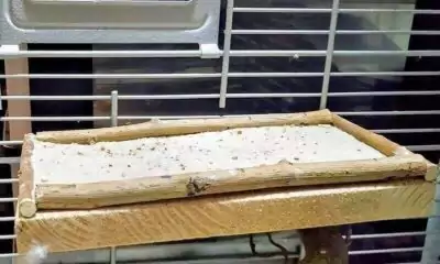 Sandbad