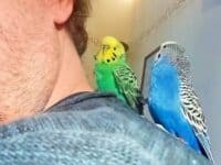 Mio und Emil auf der Schulter Mio und Emil auf der Schulter