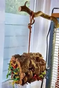 Sitzstange mit Korkröhre