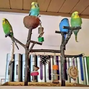 Spielplätze