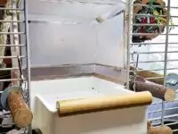 Vogelbad mit Einstiegshilfe
