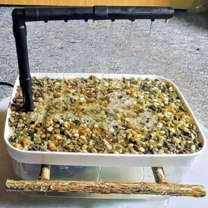 Vogeldusche Vogeldusche
