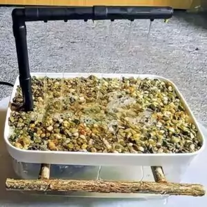 Vogeldusche 3in1