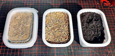 Dosen für Halter Dosen für Halter