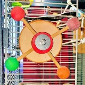 Welli-Rad basteln Welli-Rad basteln