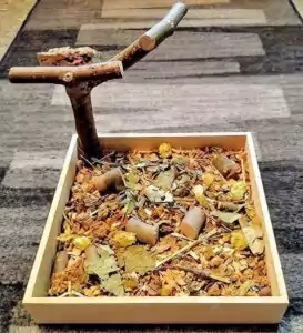Wühlkiste mit Ast