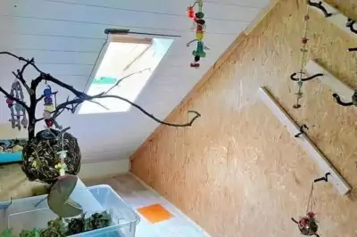 Vogelzimmer