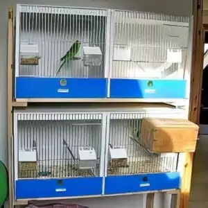 Zuchtboxen