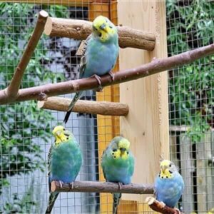 Ritas kleine Welliwelt Ritas kleine Welliwelt