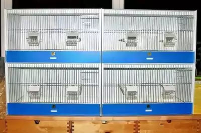 Zuchtboxen