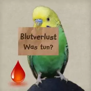 Blutverlust Blutverlust