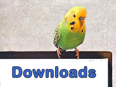 Downloads