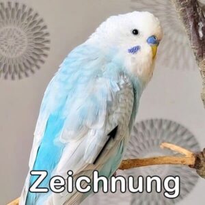 Hellflügel (Blaureihe)