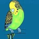 Beitragsbild