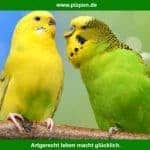 Beitragsbild