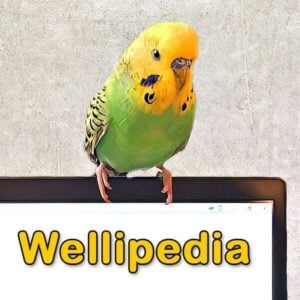 Wellipedia