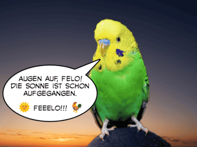 Ideen für Felos Ideen für Felos