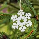 Weihnachtsbaum