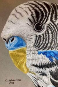Zeichnung von Katharina Niederstrasser