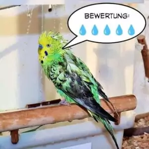 Bird-Pool - Fazit Bewertung Emil