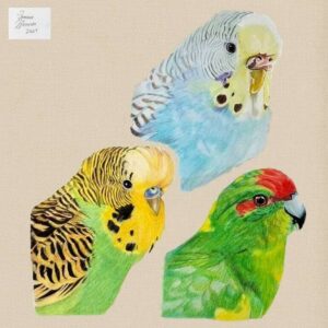 Sittiche von Tamara Wessner